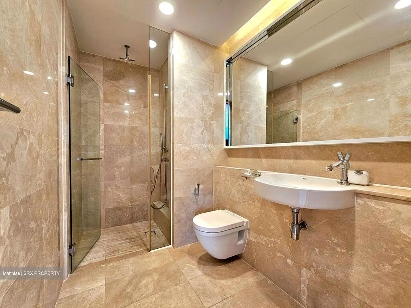 Madison Residences (D10), Condominium #496607921